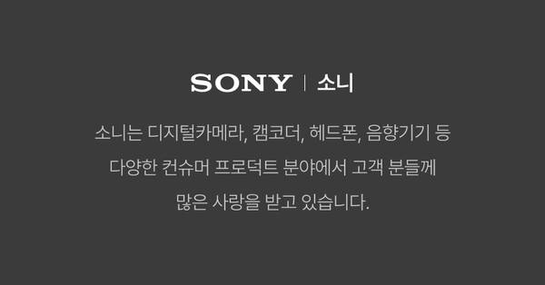 소니 디지털카메라, 캠코더, 헤드폰 등 다양한 전자제품을 소개하는 배너