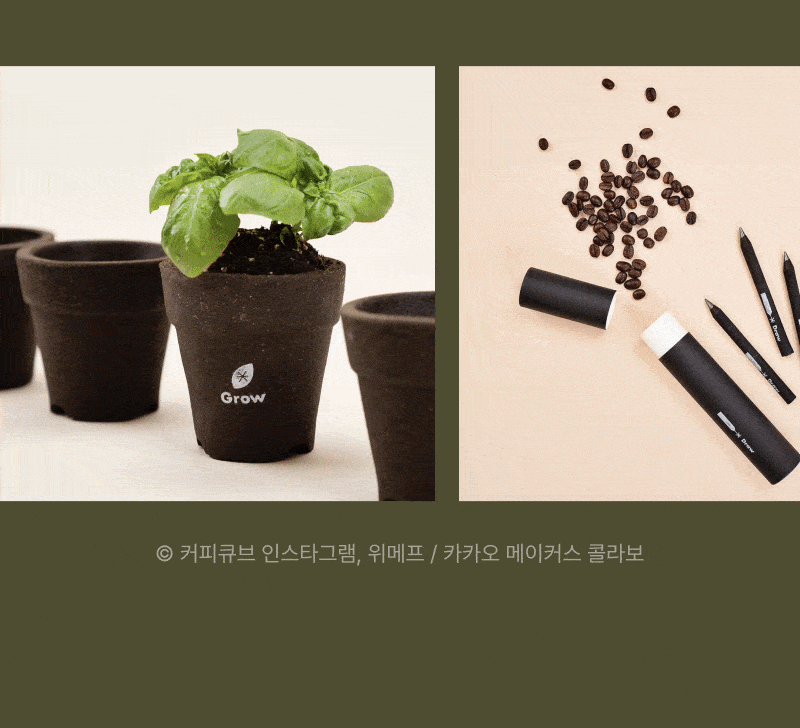 바질 식물 화분과 커피원두, 메이크업 제품을 활용한 업사이클링 제품 소개