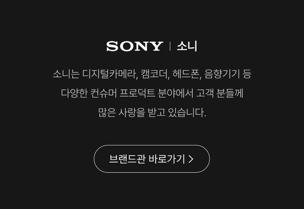 소니의 디지털카메라, 캠코더, 헤드폰, 음향기기 등 제품을 소개하고 브랜드관으로 이동하는 배너