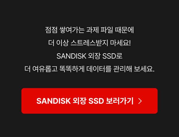 SANDISK 외장 SSD 보러가기 버튼