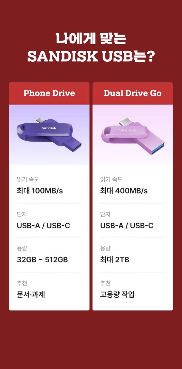 나에게 맞는 SANDISK USB 비교: Phone Drive와 Dual Drive Go