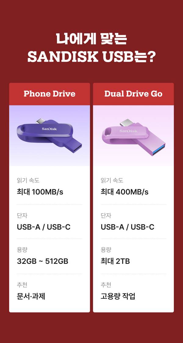 나에게 맞는 SANDISK USB 비교: Phone Drive와 Dual Drive Go