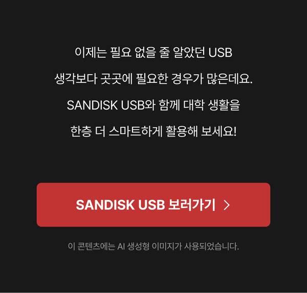 SANDISK USB 보러가기 버튼