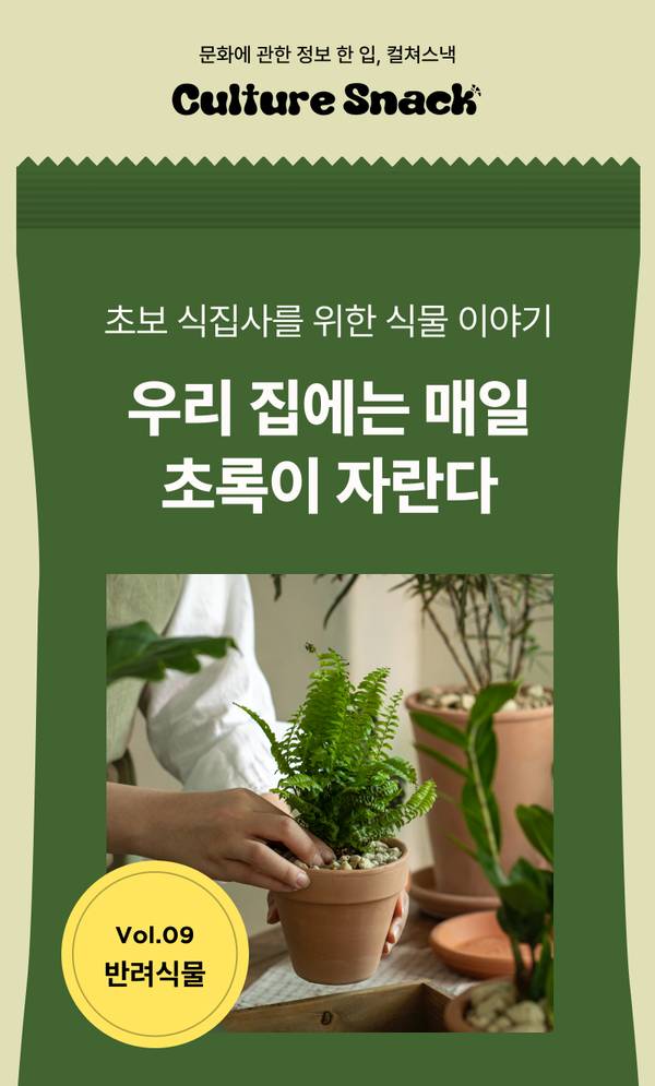 반려식물을 주제로 한 컬처스낵 콘텐츠로, 손으로 화분을 들고 있는 모습과 함께 식물 돌보기 관련 정보 제공 안내